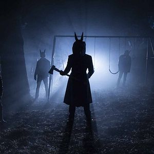 Photo Jackals