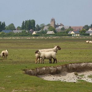 Photo Jeune bergère
