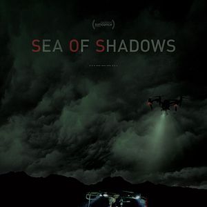 Photo Sea of Shadows
