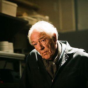 Photo Michael Gambon