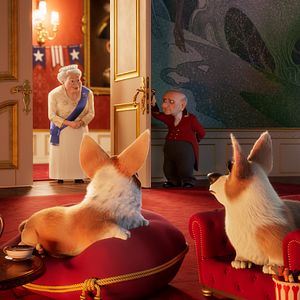 Photo Royal Corgi