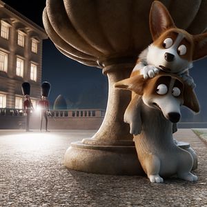 Photo Royal Corgi