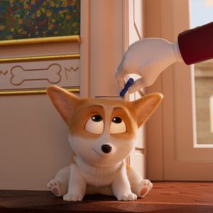 Photo Royal Corgi