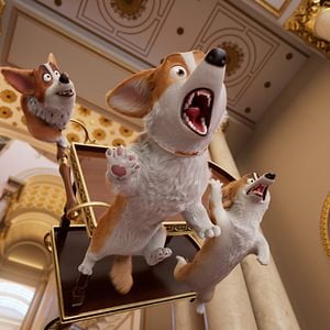 Photo Royal Corgi