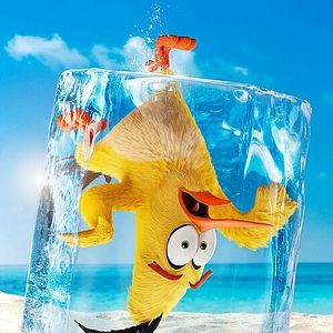 Photo Angry Birds : Copains comme cochons