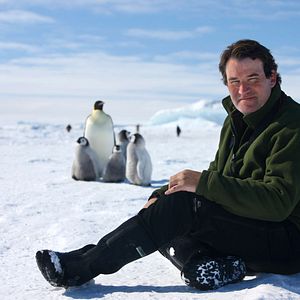 Photo Alastair Fothergill