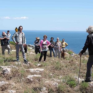 Photo Disperata