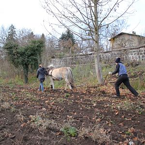 Photo Au pays des bobos