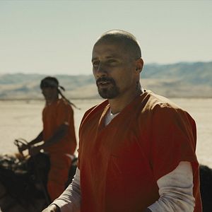 Photo Matthias Schoenaerts