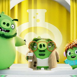 Photo Angry Birds : Copains comme cochons