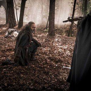 Photo Nasser Memarzia