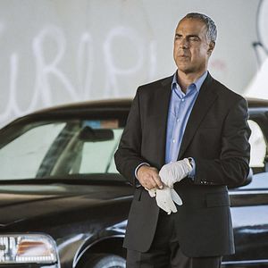Photo Harry Bosch