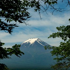 Photo Van Gogh et le Japon