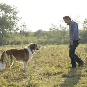Photo Dennis Quaid