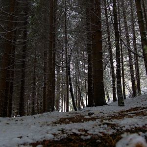 Photo Le Jardin Des Cimes - Une Enclave En Altitude