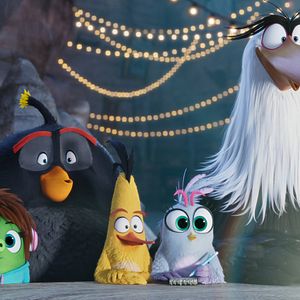 Photo Angry Birds : Copains comme cochons