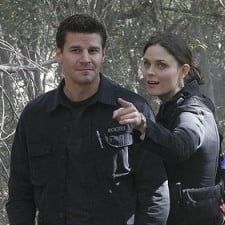 Photo Bones