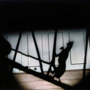 Photo Le Chat noir