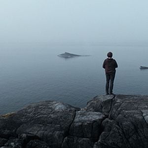 Photo La Baleine & le corbeau