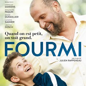 Photo Fourmi