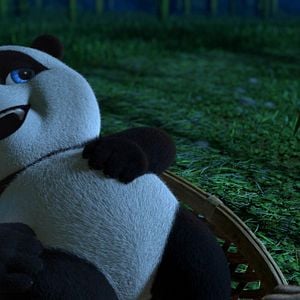 Photo Opération Panda