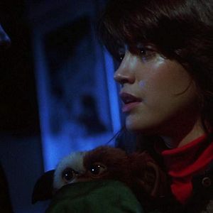 Photo Gremlins