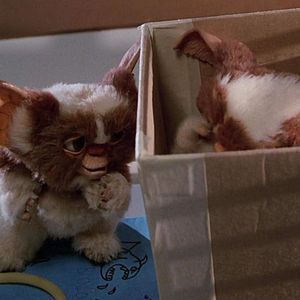 Photo Gremlins