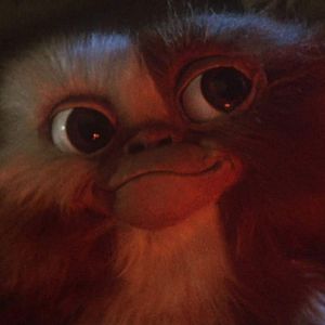 Photo Gremlins