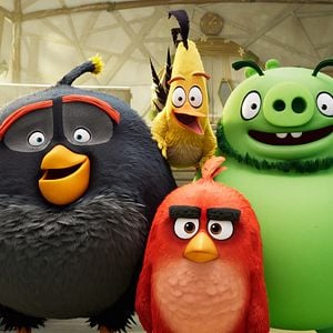 Photo Angry Birds : Copains comme cochons