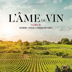 Photo L'Âme du vin