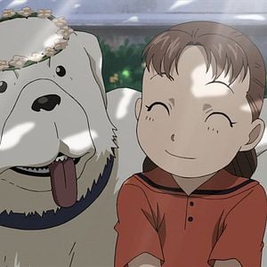 Photo Fullmetal Alchemist : Brotherhood