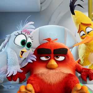 Photo Angry Birds : Copains comme cochons