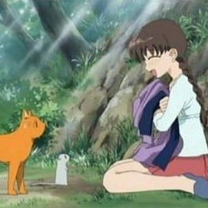 Photo Fruits Basket