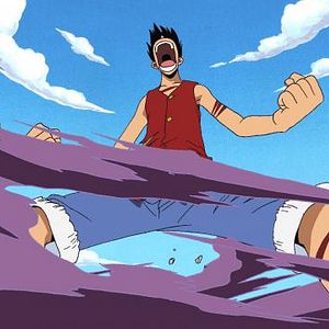 Photo One Piece