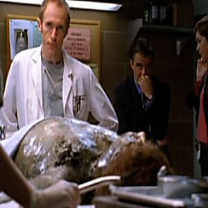 Photo New York Section Criminelle