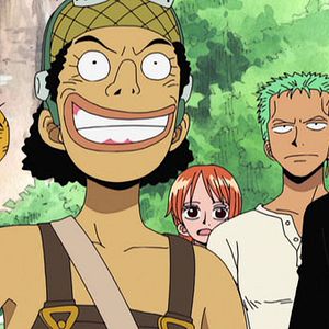 Photo One Piece
