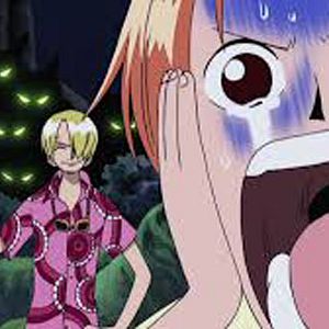 Photo One Piece