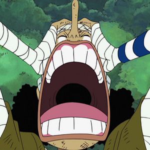 Photo One Piece