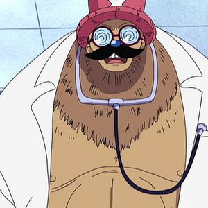 Photo One Piece