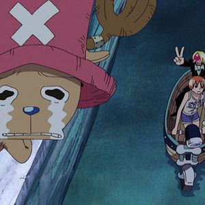 Photo One Piece