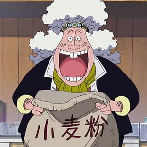 Photo One Piece