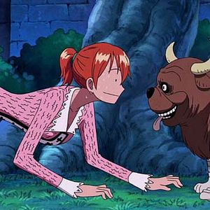 Photo One Piece