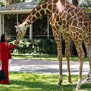 Photo Rosario Dawson