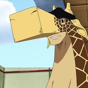 Photo One Piece