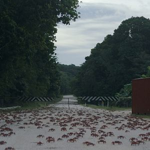 Photo Island of the Hungry Ghosts