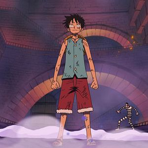 Photo One Piece