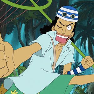 Photo One Piece
