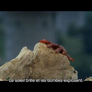 Photo Ne croyez surtout pas que je hurle