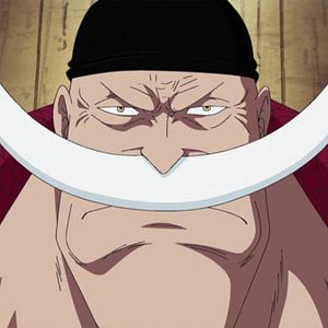 Photo One Piece