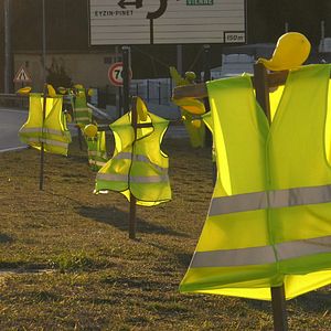 Photo Graines de ronds-points